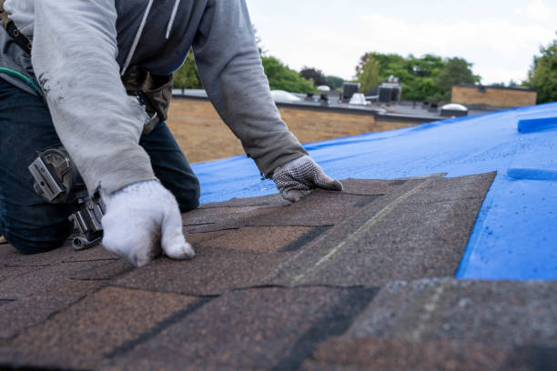 Best Storm Damage Roof Repair  in Hernando, FL