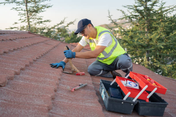 Best Roof Repair Services  in Hernando, FL