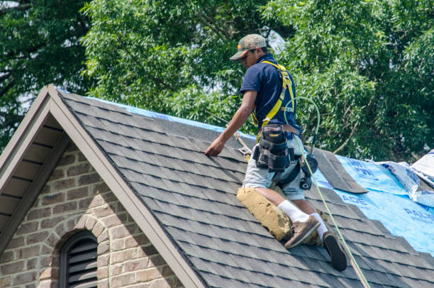 Quick and Trustworthy Emergency Roof Repair Services in Hernando, FL